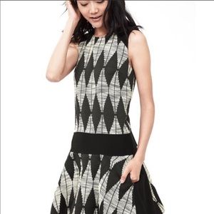 Banana Republic classic argyle drop waist dress